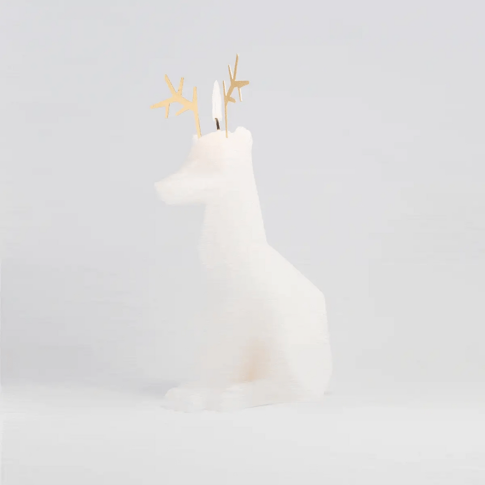 Arturo - candela con anima