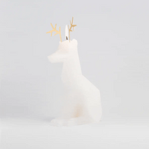 Arturo - candela con anima