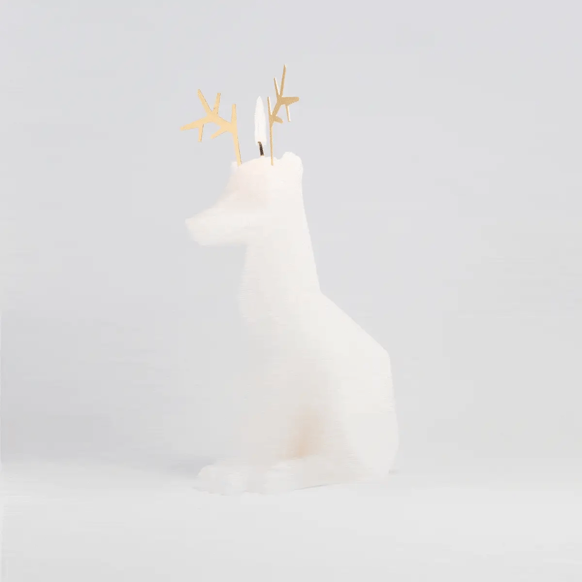 Arturo - candela con anima