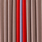 Dettaglio delle righe marrone e crema, della striscia rossa e del plissé della tote.