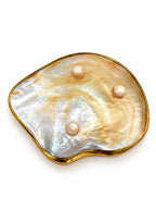Piattino conchiglia Belle Époque