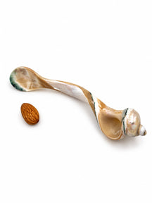 Cucchiaio in conchiglia naturale