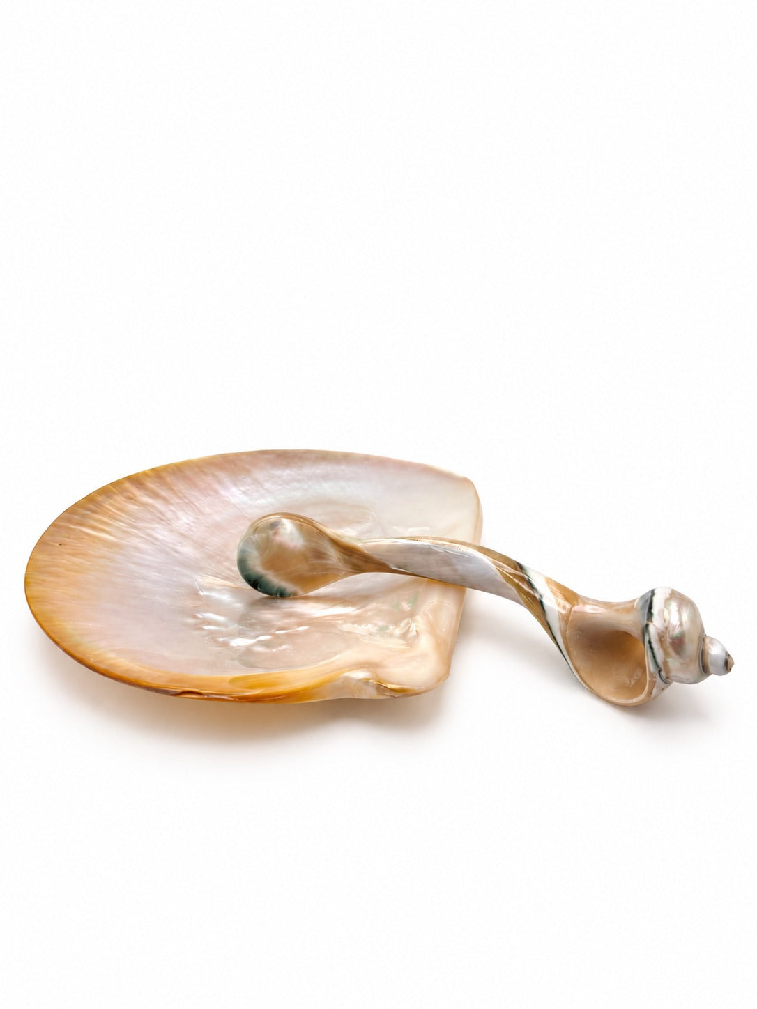 Piattino conchiglia medio