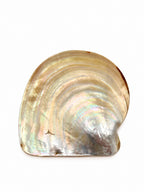Piattino conchiglia medio