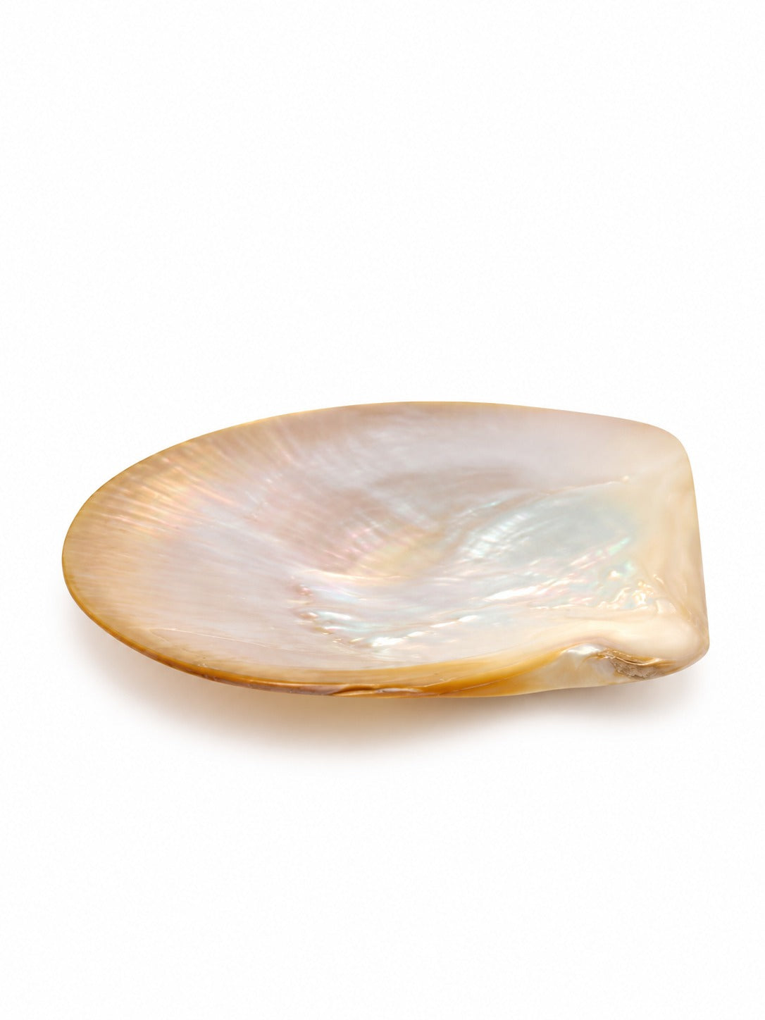 Piattino conchiglia medio